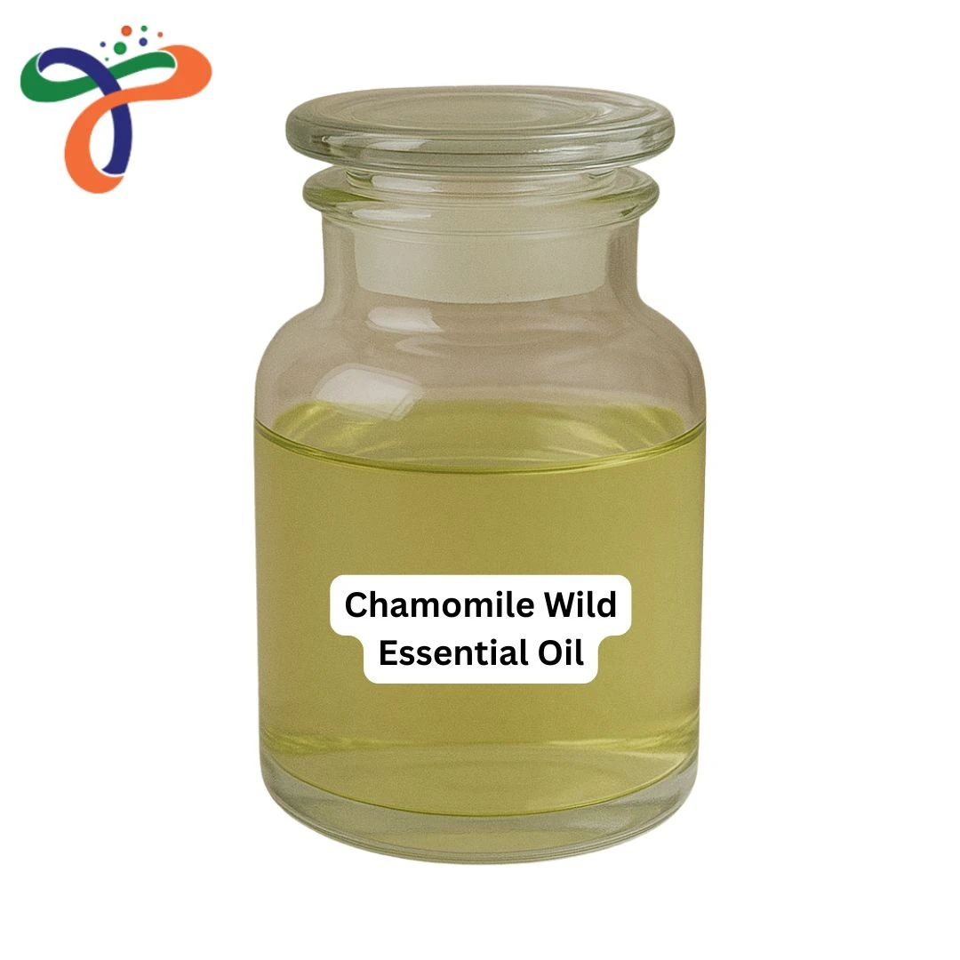 Chamomile Wild Essential Oil
