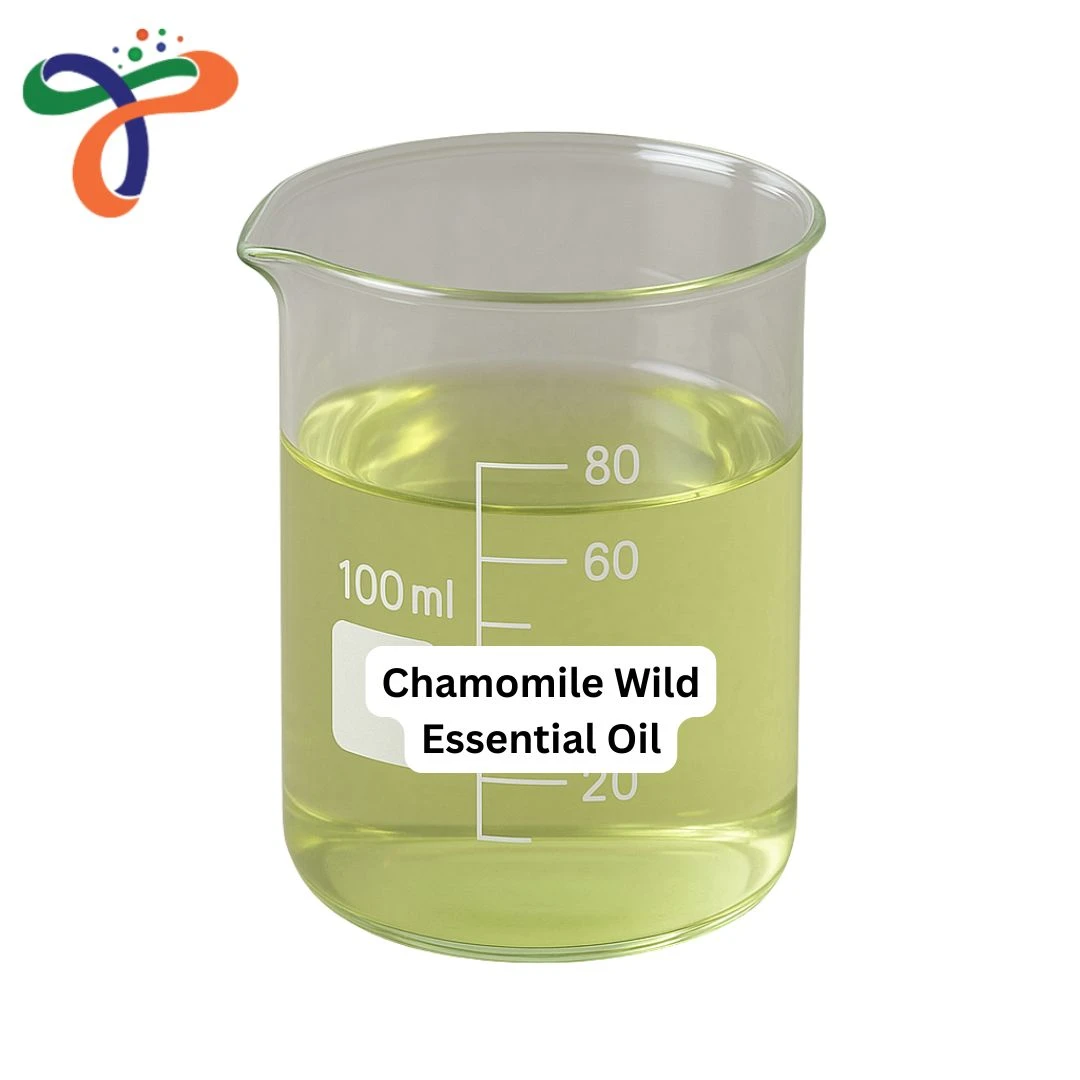 Chamomile Wild Essential Oil