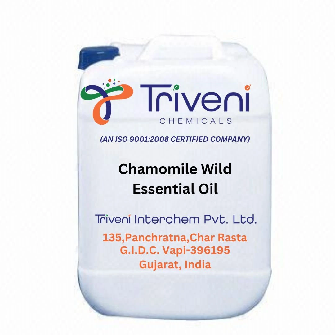 Chamomile Wild Essential Oil