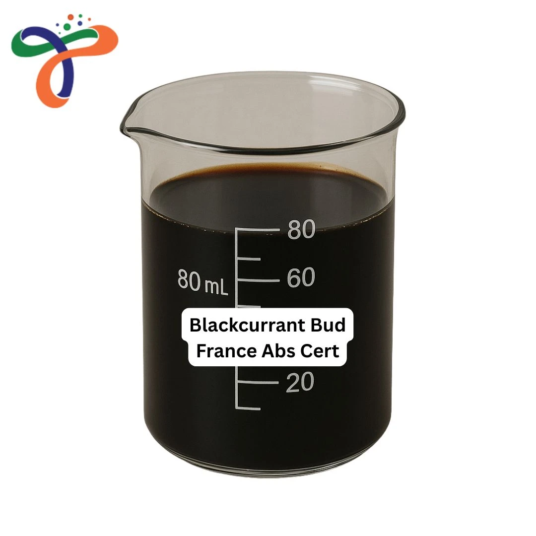 Blackcurrant Bud France Abs Cert