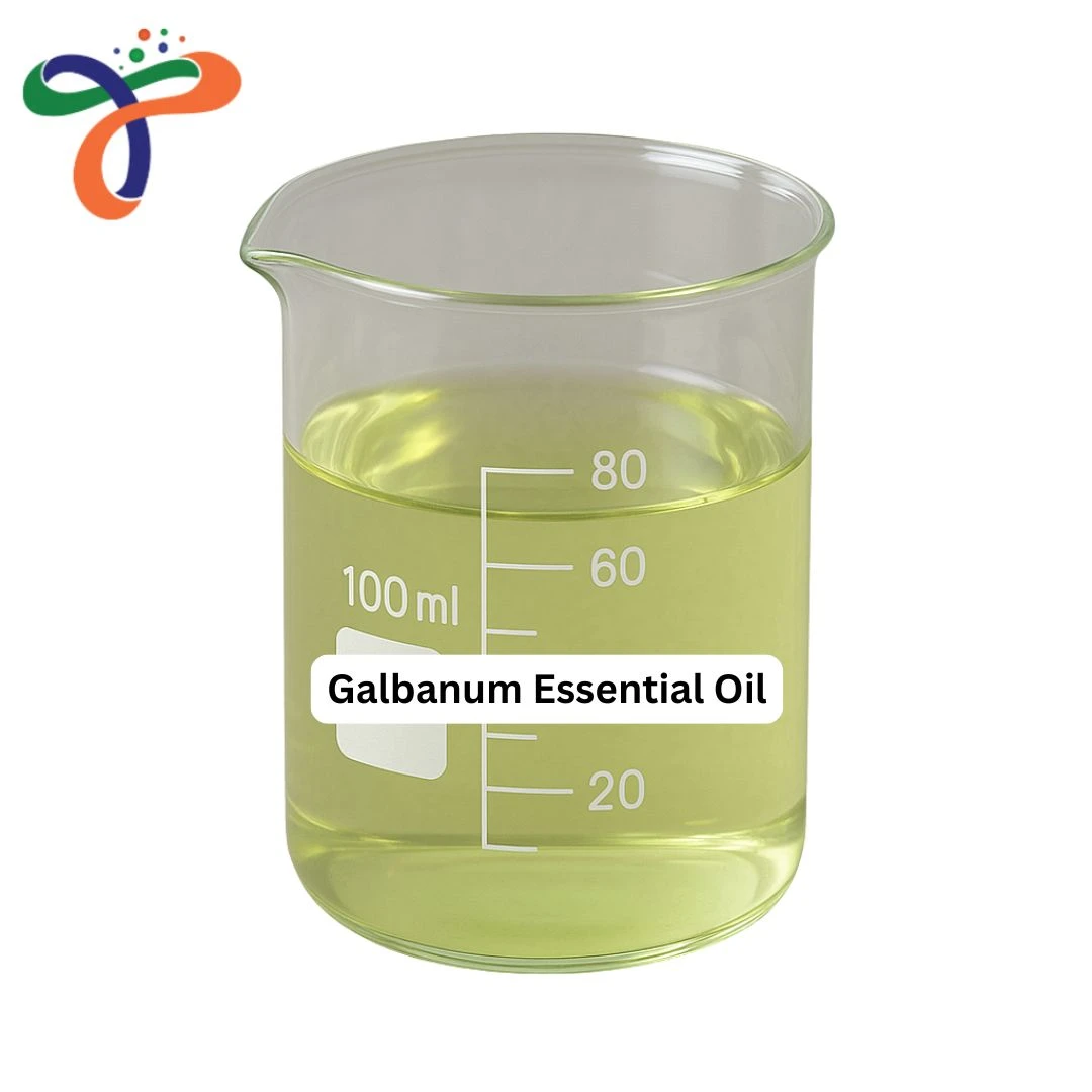 Galbanum Essential Oil