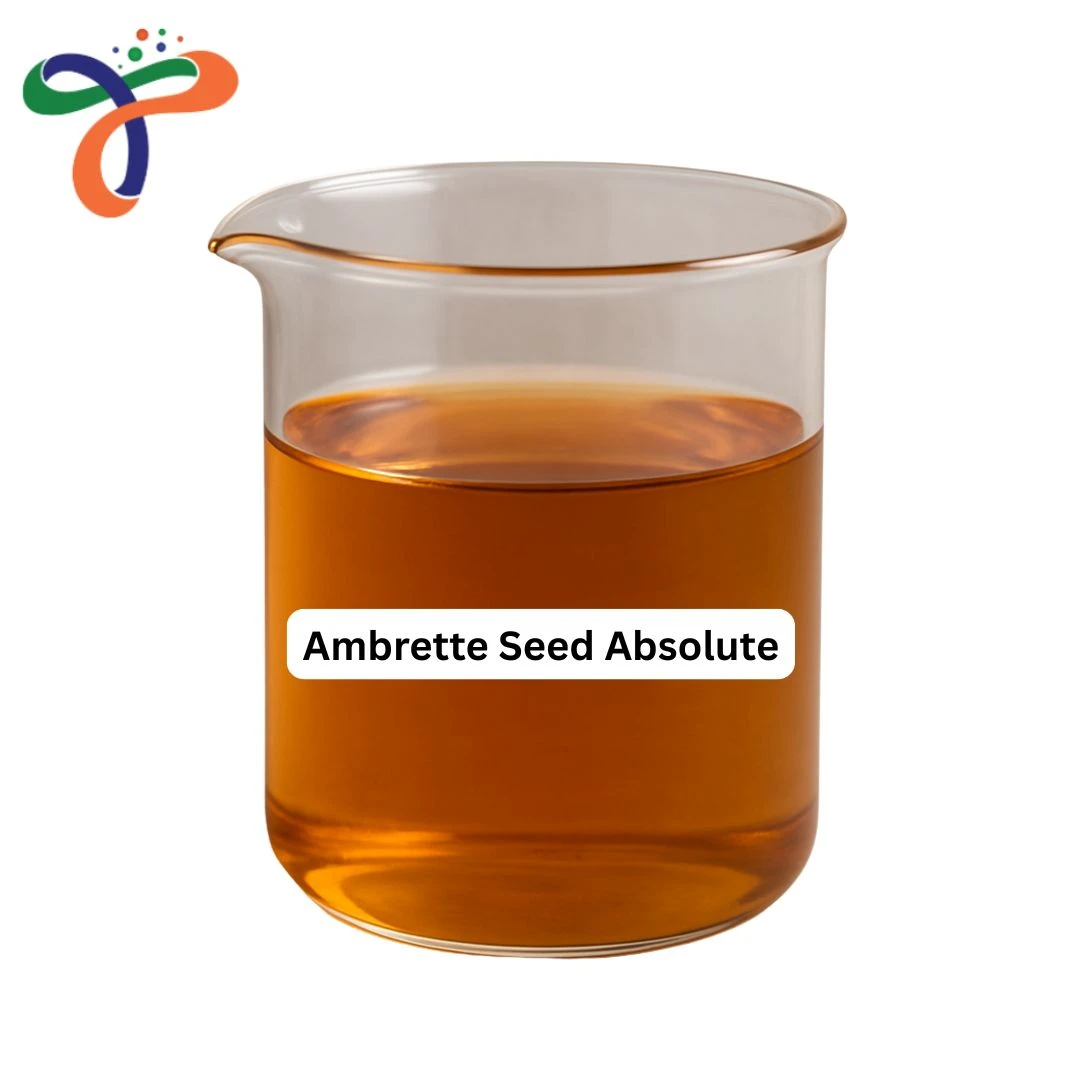 Ambrette Seed Absolute