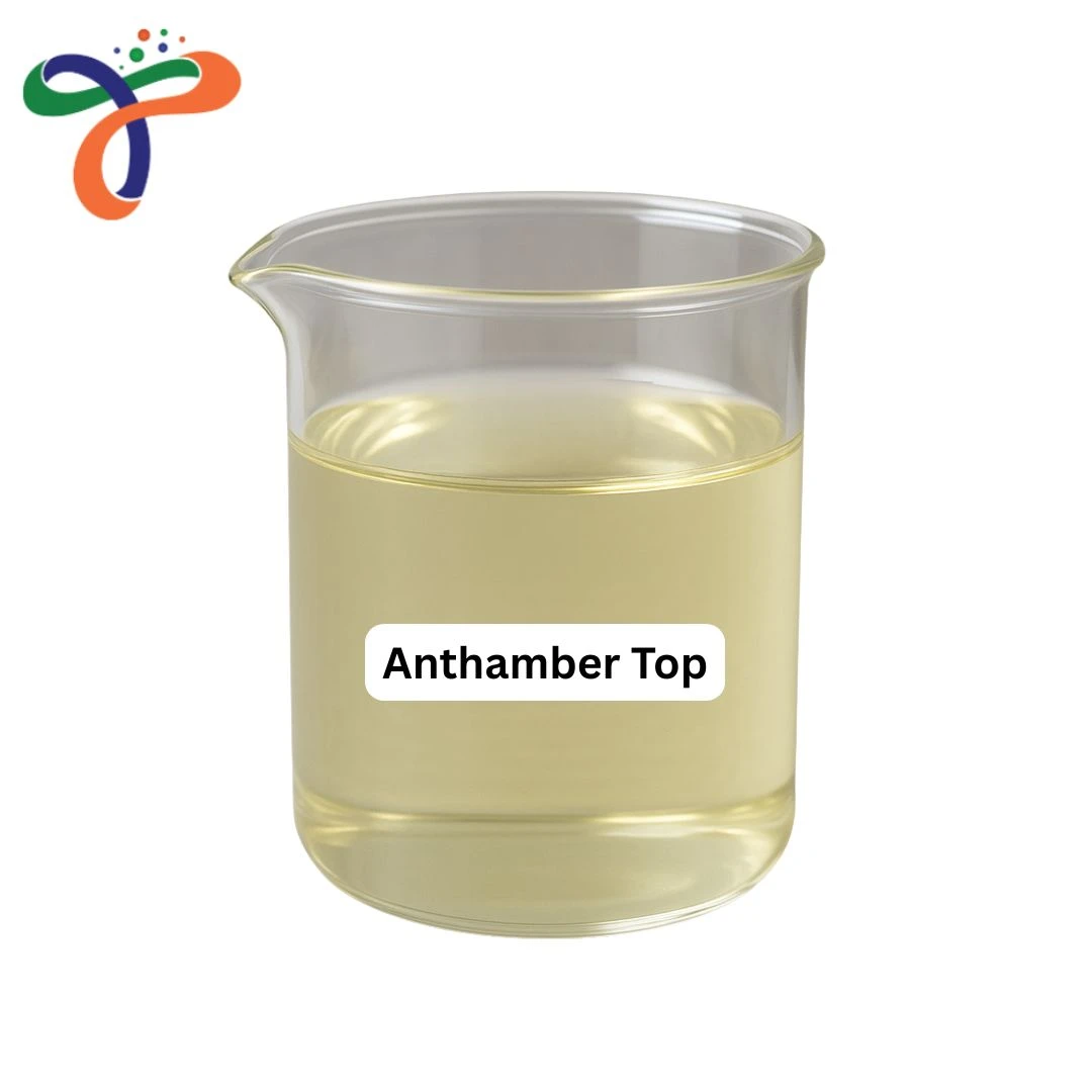 Anthamber Top