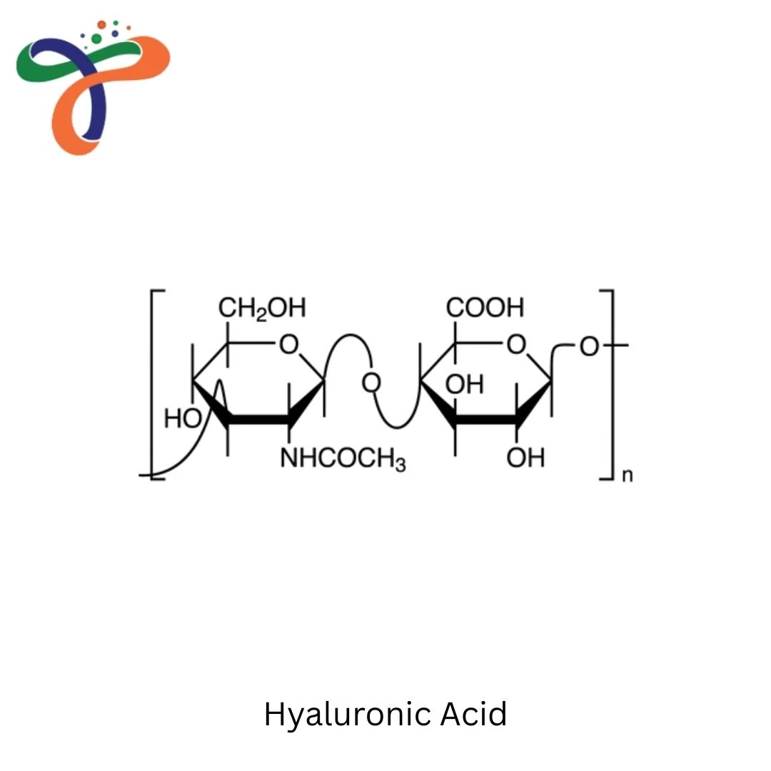 Hyaluronic Acid
