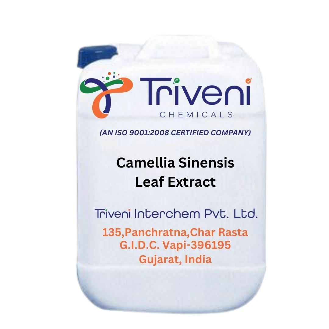 Camellia Sinensis Leaf Extract