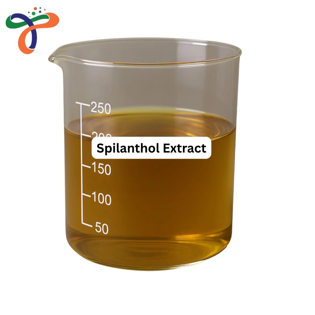 Spilanthol Extract
