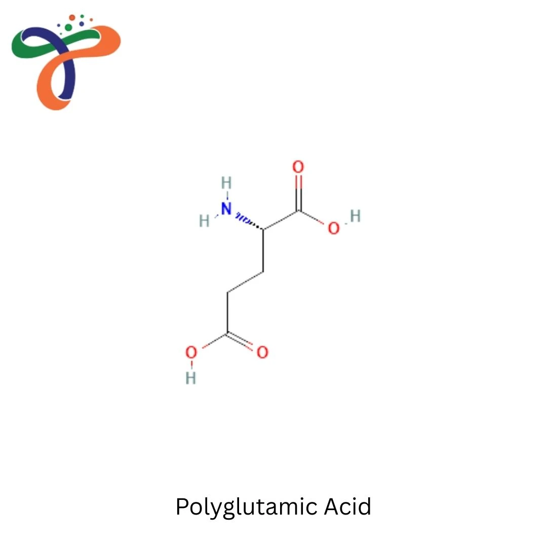 Polyglutamic Acid