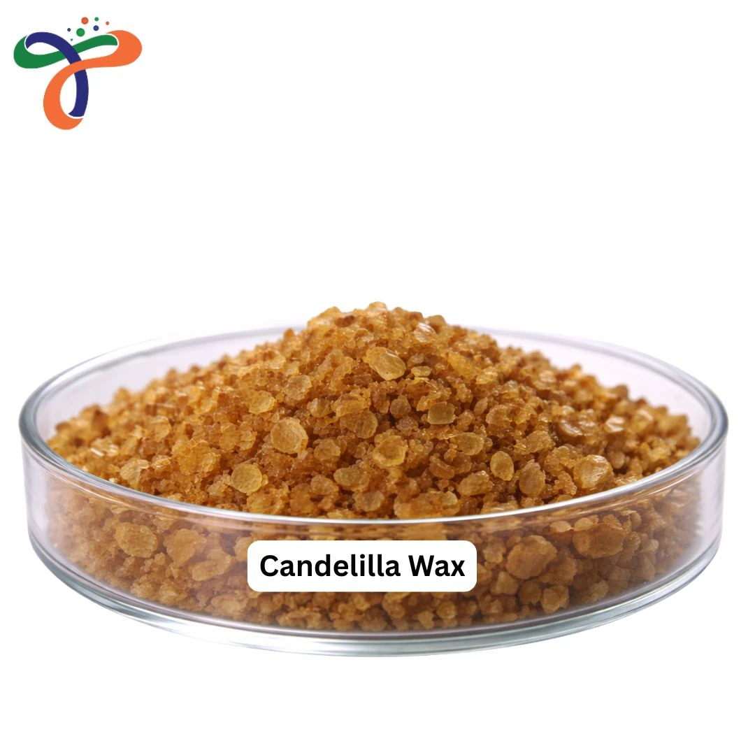 Candelilla Wax