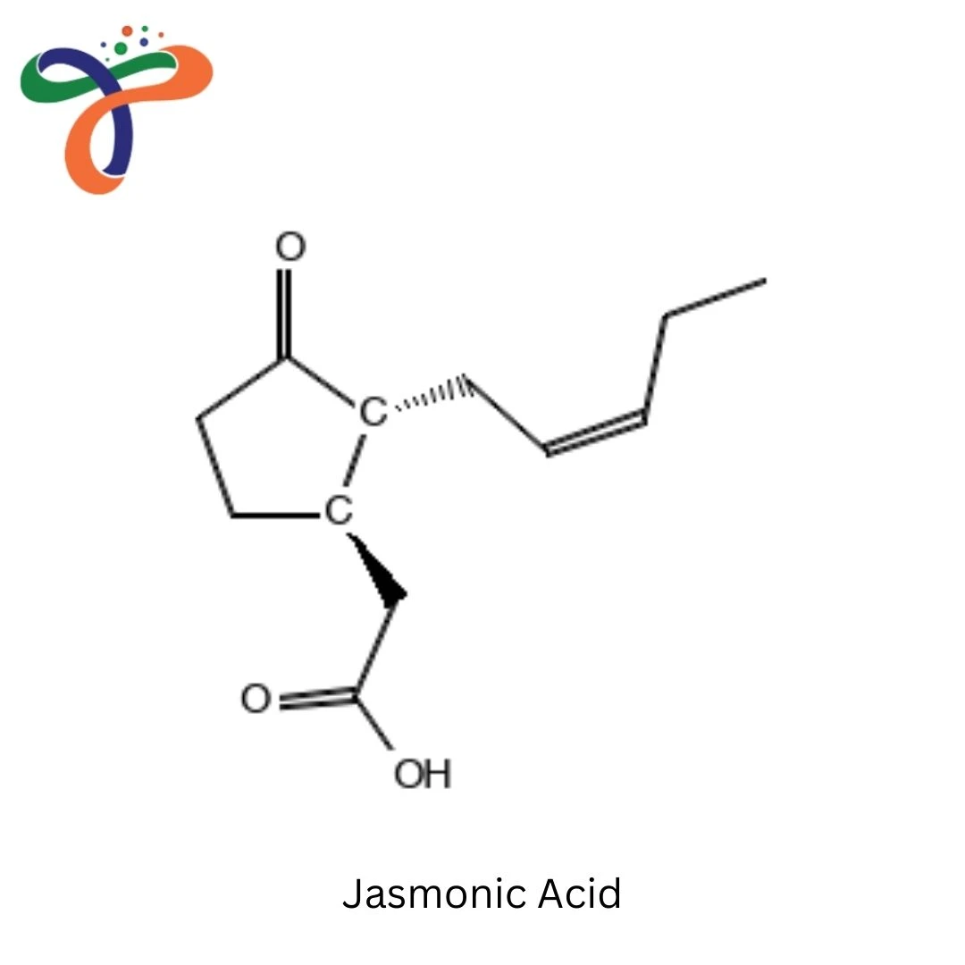 Jasmonic Acid