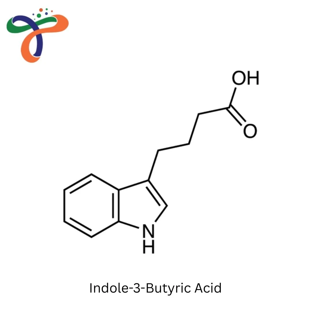 Indole-3-Butyric Acid