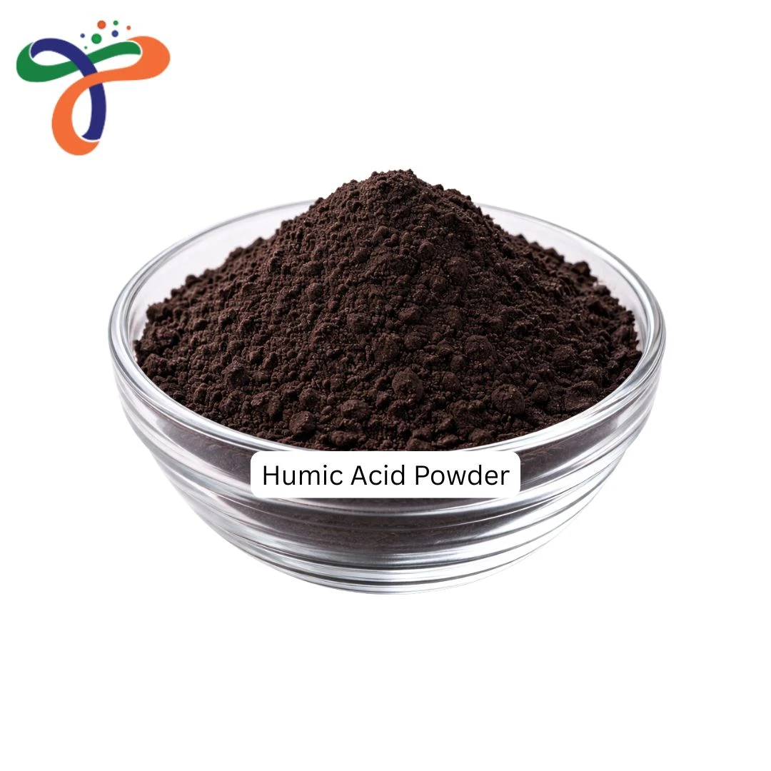 Humic Acid Powder