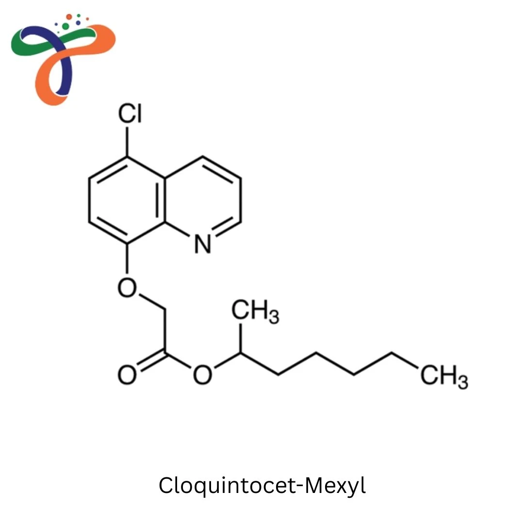 Cloquintocet-Mexyl