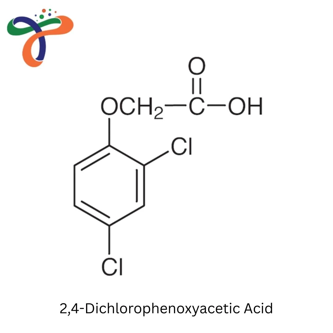 2,4-Dichlorophenoxyacetic Acid