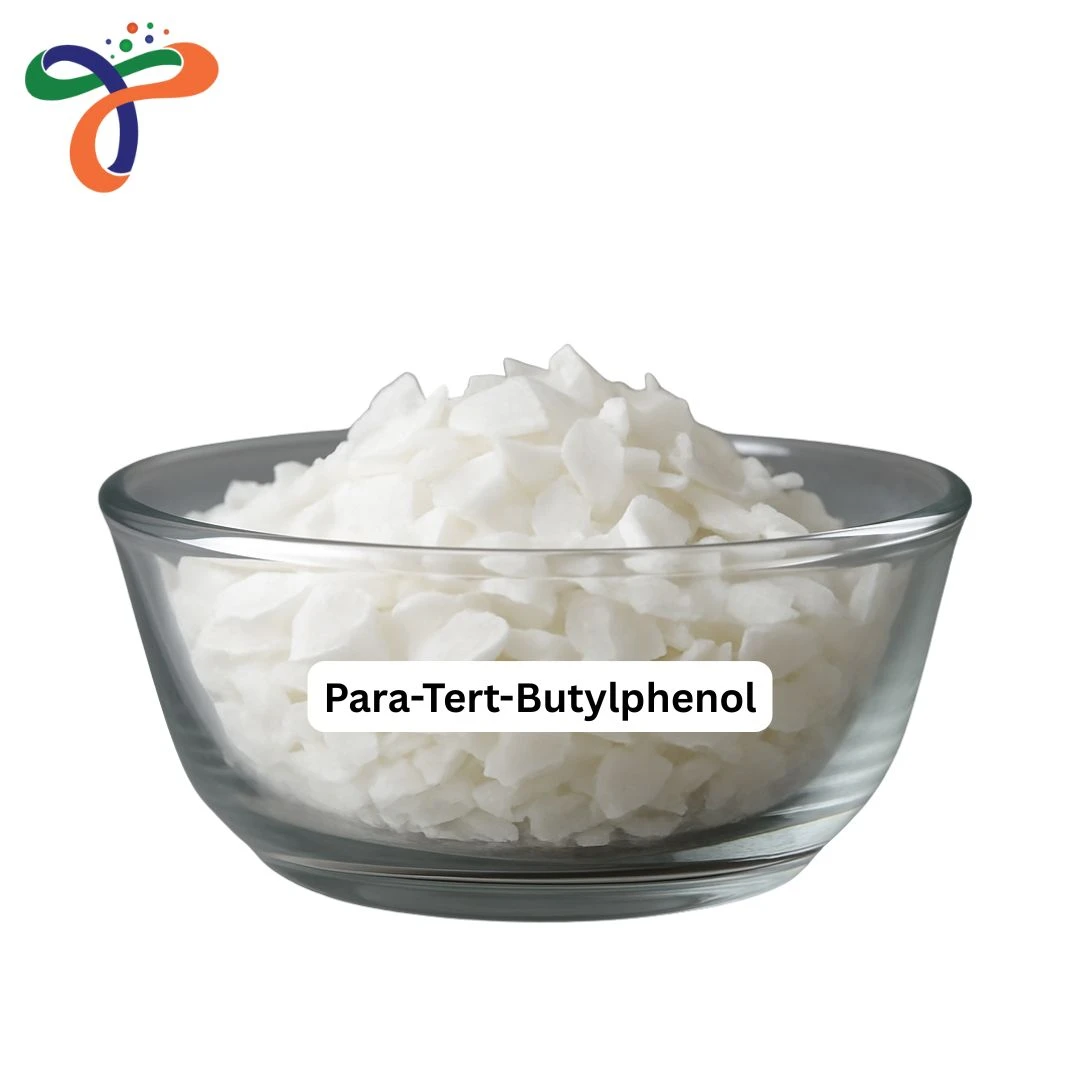 Para-Tertiary-Butylphenol