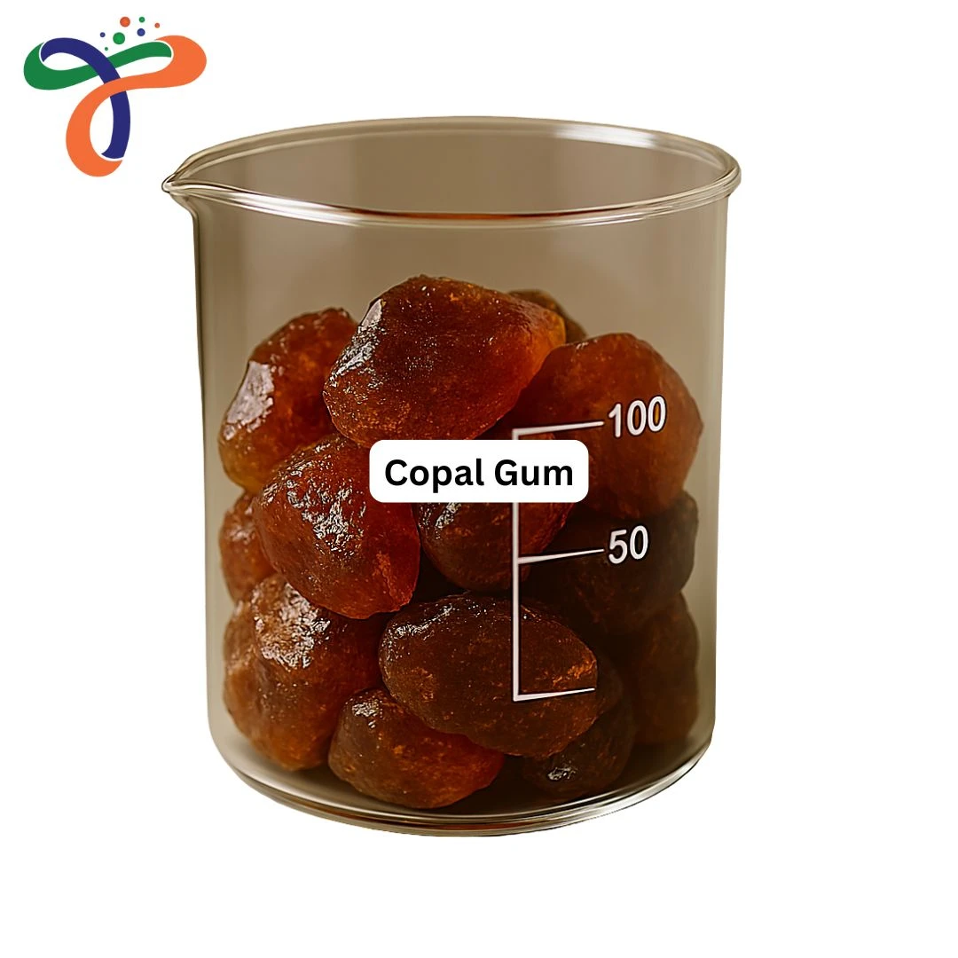 Copal Gum