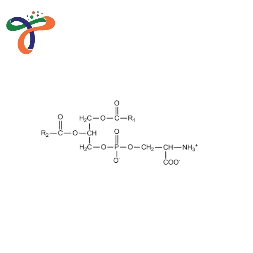 Phosphatidylserine