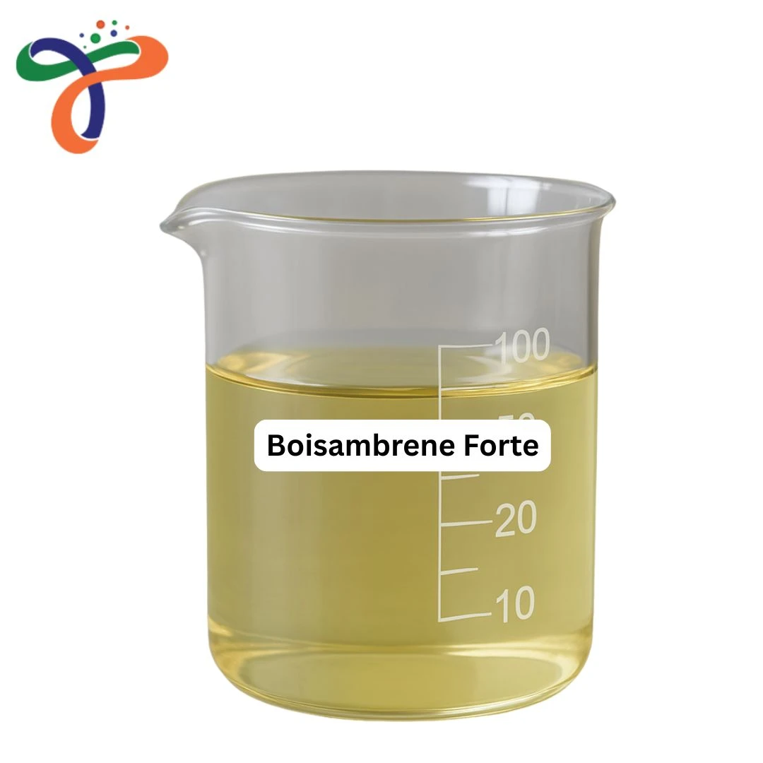 Boisambrene Forte