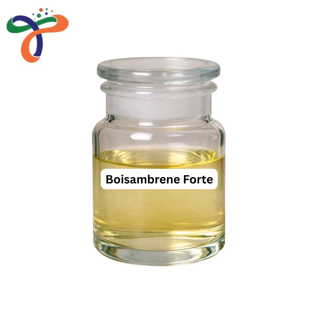 Boisambrene Forte