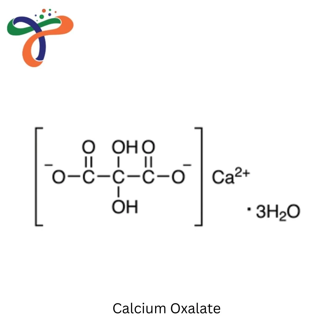 Calcium Oxalate