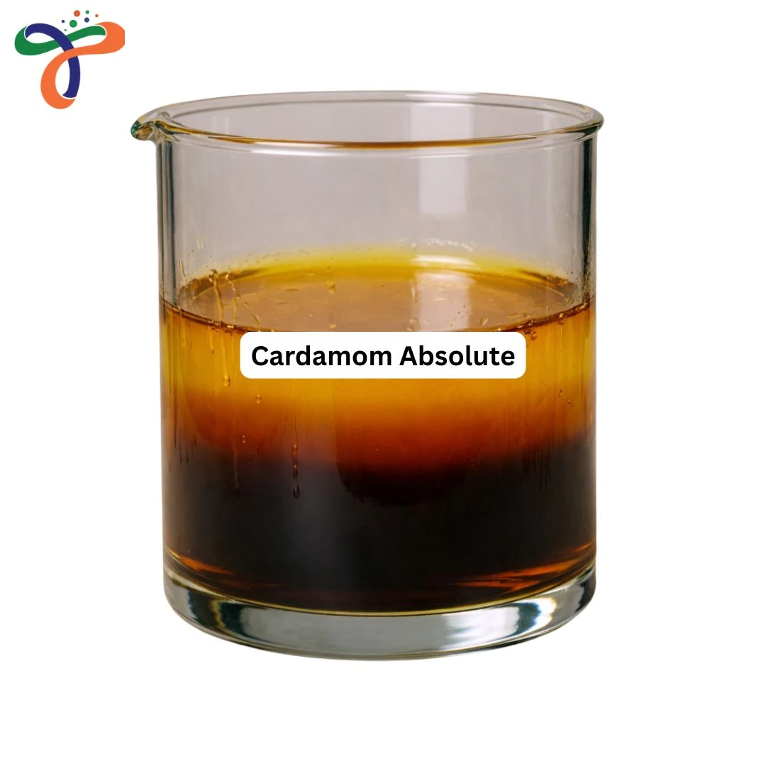 Cardamom Absolute