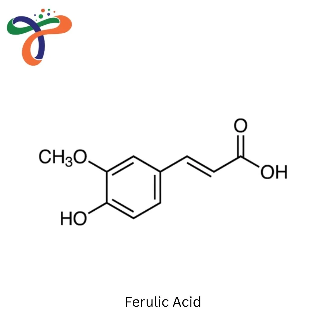 Ferulic Acid