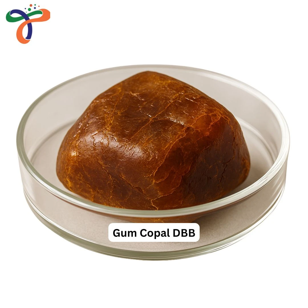 Gum Copal Dbb