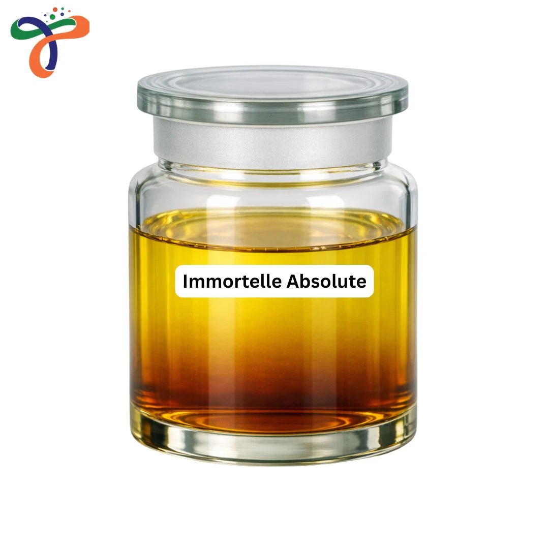 Immortelle Absolute
