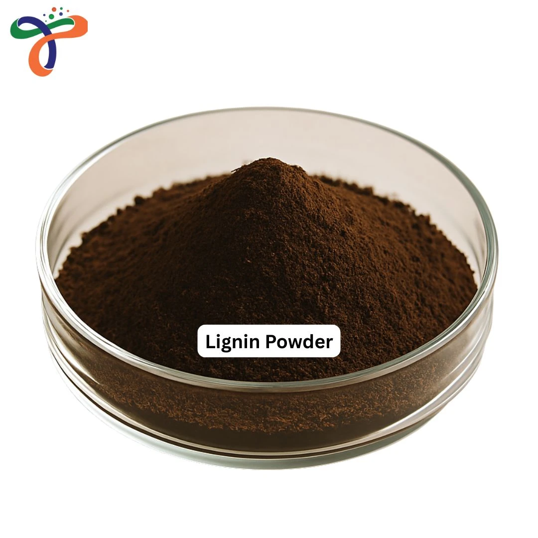 Lignin Powder