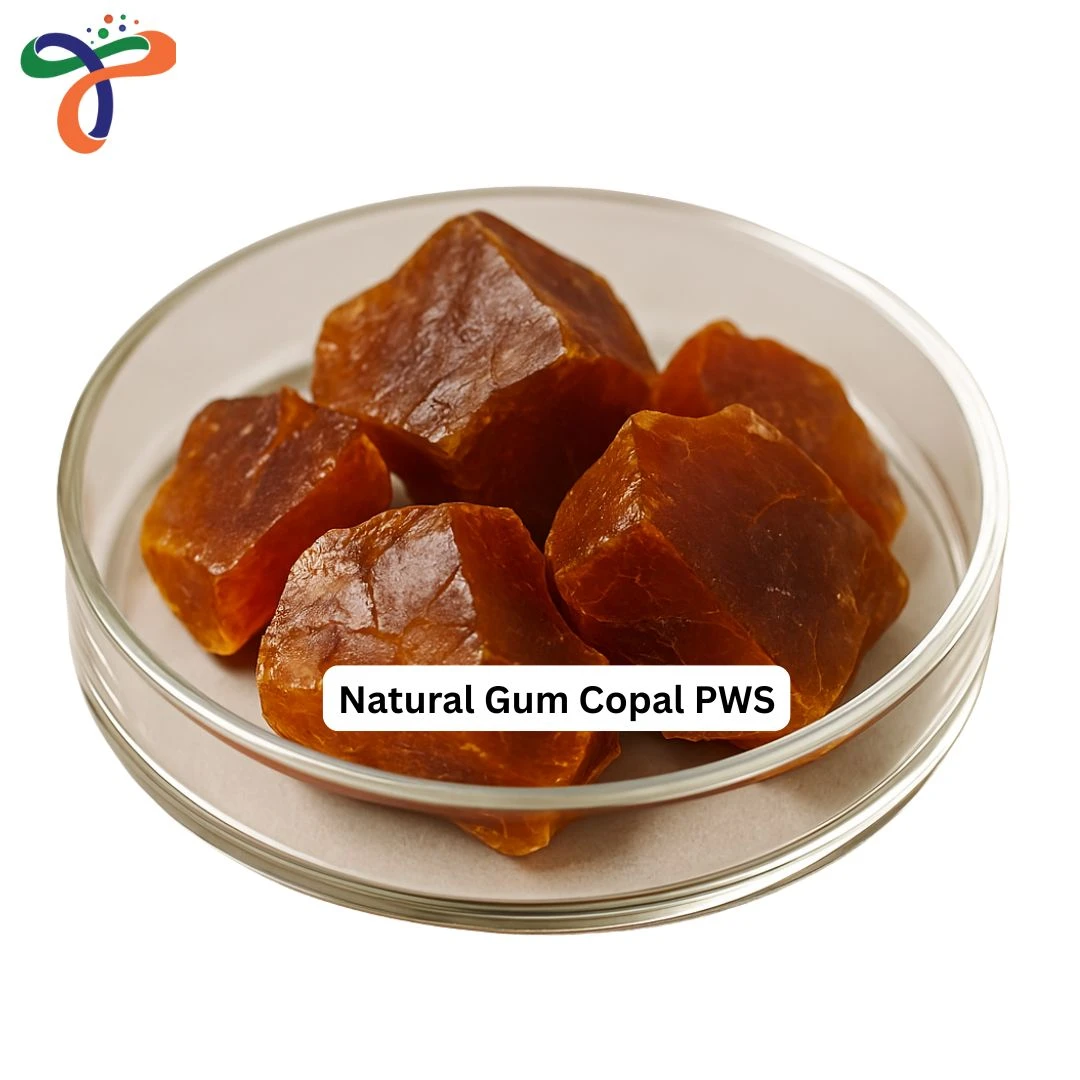 Natural Gum Copal Pws