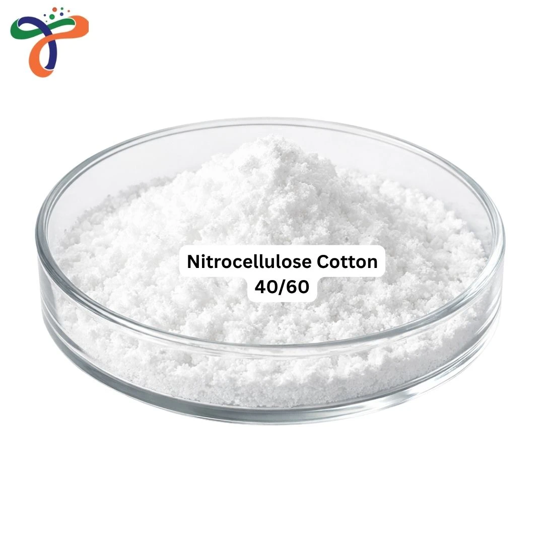 Nitrocellulose Cotton 40/60