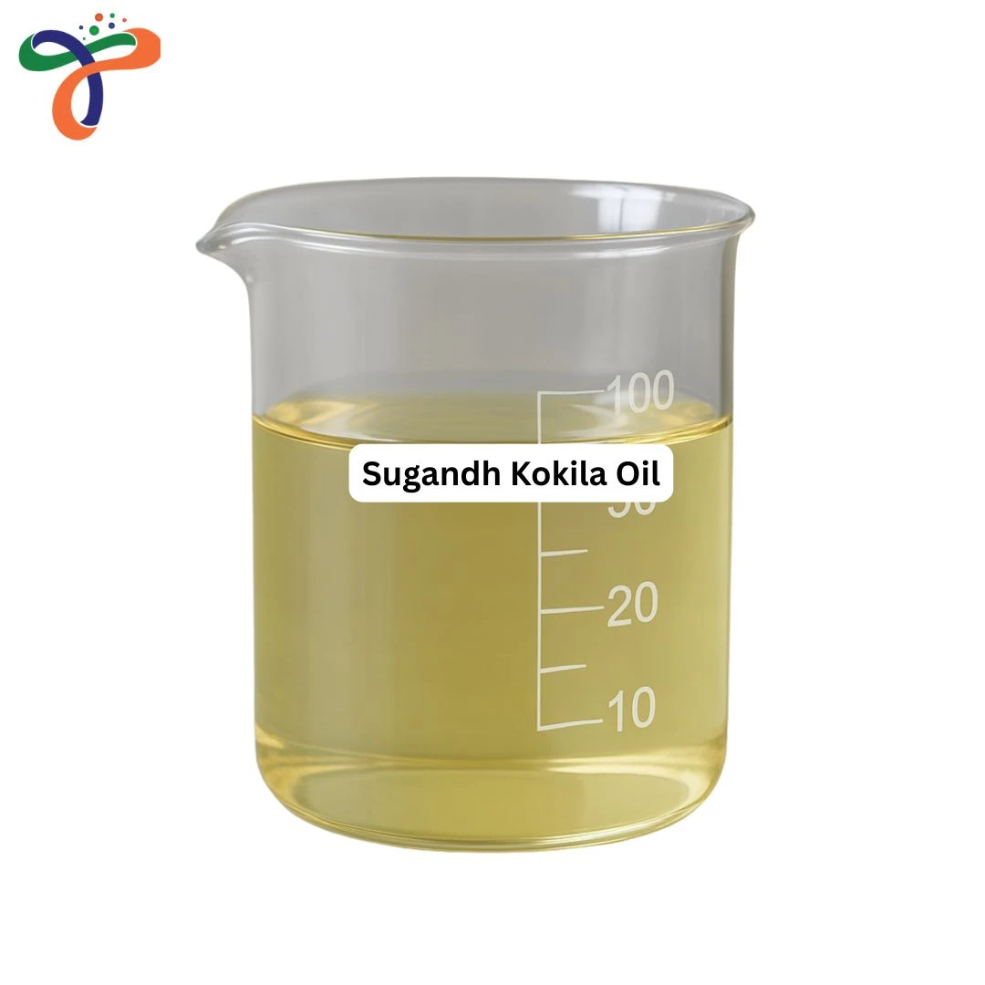 Sugandh Kokila Oil