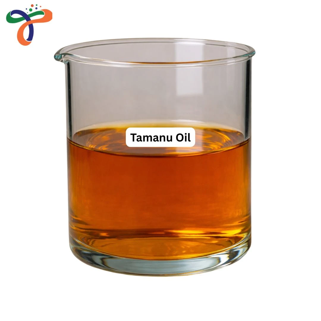 Tamanu Oil