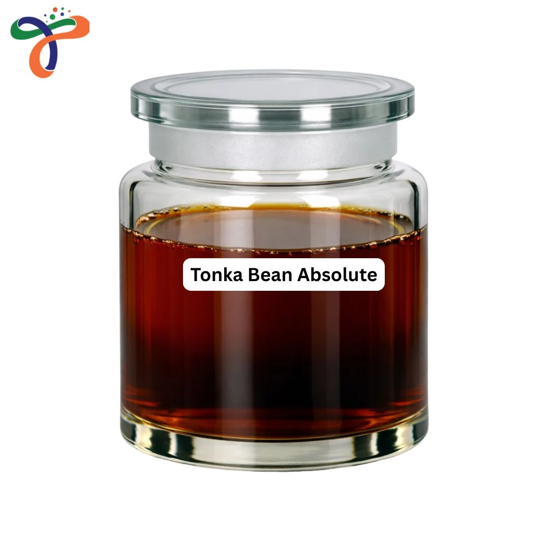 Tonka Bean Absolute